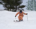 IMG_1371
