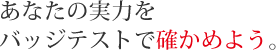 あなたの実力をバッジテストで確かめよう。