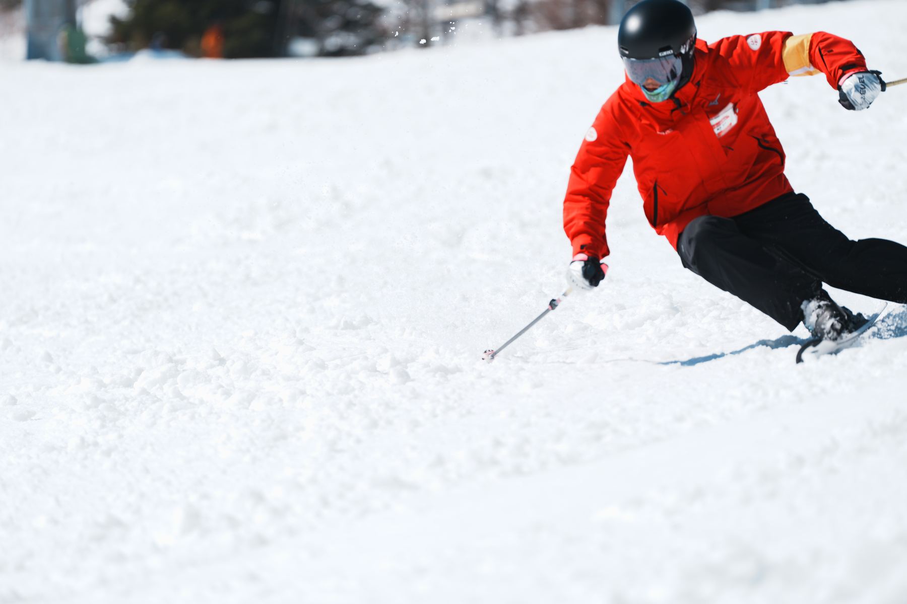 Instructor carving