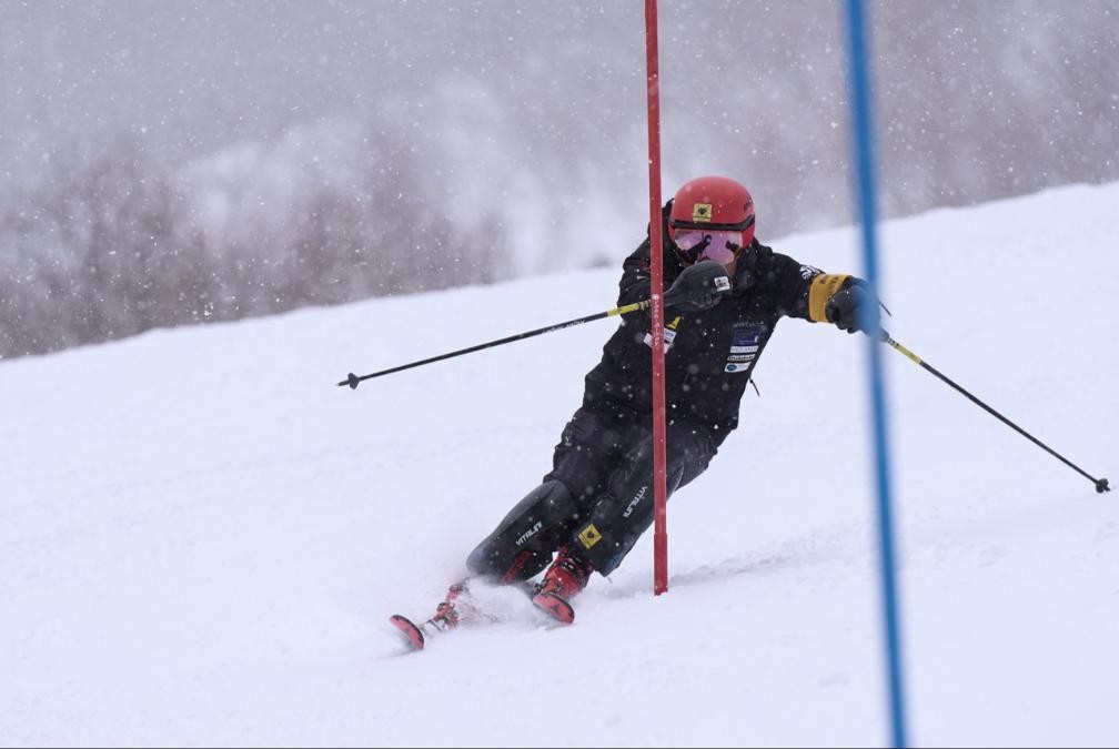 降雪のなかスラロームのポールを抜けるレーサー